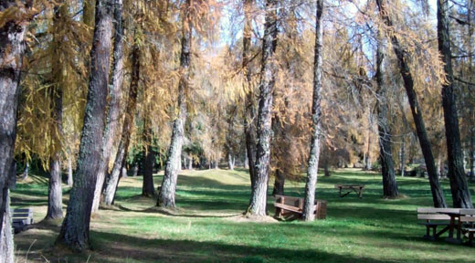 Prato delle Regole